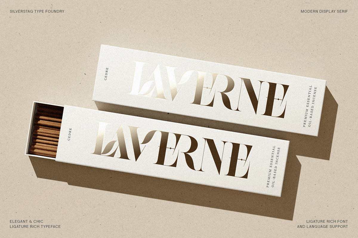 Raving Display Editorial Serif Font, a Serif Font by SilverStag Type Foundry (Photo 4 of 30)