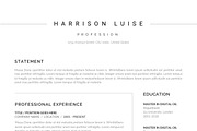 Top selling 30 Resumes Bundle, a Resume Template by paulresume (Thumbnail 3 of 10)