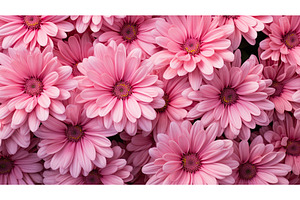 carnation pink flowers ai generated, a Nature Photo by pikepicture