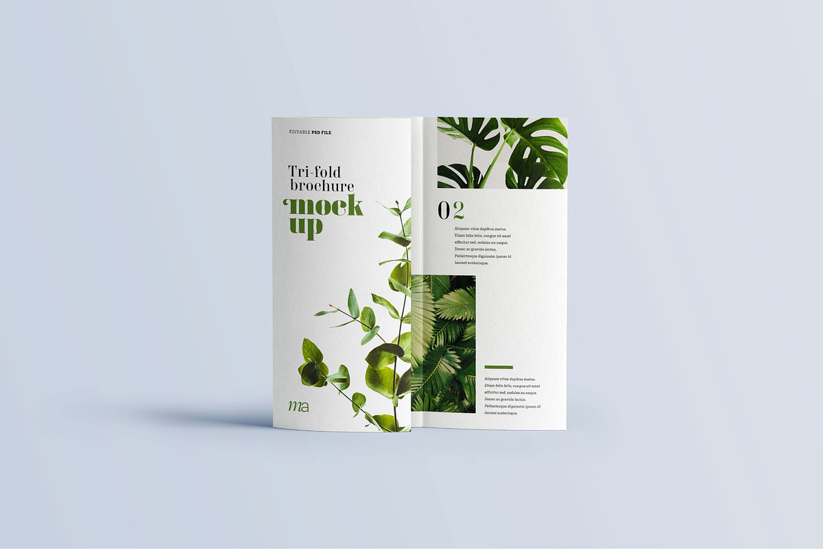 Trifold Brochure Mockup, a Print Template by mockupatelier (Photo 5 of 15)