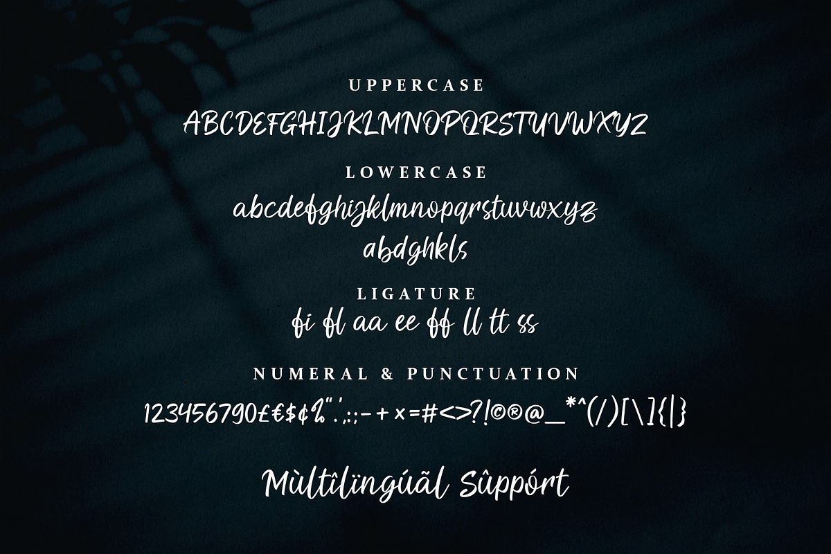 Mission Lemon Handlettering Font, a Handwritten Font by Signatoro (Photo 10 of 10)