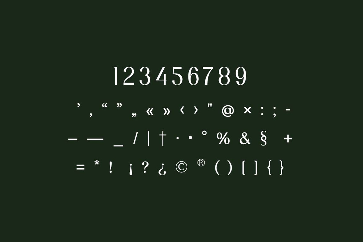 Moonscape Serif Roman Family Font, a Serif Font by UICreative (Photo 7 of 13)