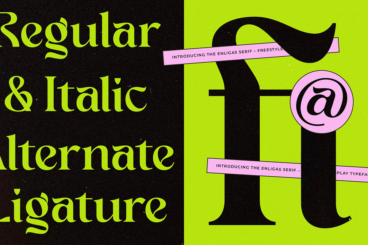 Enligas Modern Serif Display Font, a Serif Font by timelesstype.co (Photo 12 of 15)