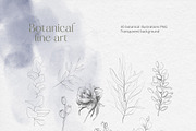 Botanical Line Art Collection, an Object Illustration by Colden Blue (Thumbnail 3 of 10)