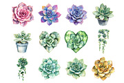Watercolor Succulents Clipart, an Illustration by Design Market (Thumbnail 2 of 3)
