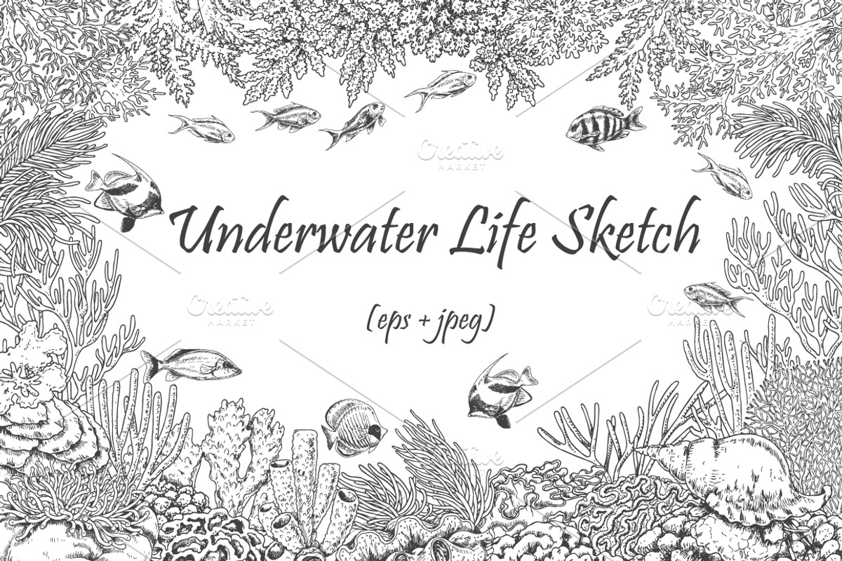 Coral Reef Monochrome, a Decorative Illustration by Valentyna Smordova (Photo 2 of 5)
