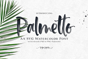 Palmetto SVG Font, a Handwritten Font by Callie Rian & Co. (Thumbnail 1 of 12)