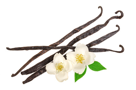 Vanilla sticks with flower and leaf isolated on white background top view, a Food & Drink Photo by NataPhoto