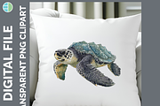 Sea Turtle Illustration Bundle PNG, an Animal Illustration by Enliven Designs (Thumbnail 7 of 8)