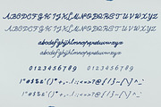 WooSeong - a Script Handwritten Font, a Handwritten Font by BeadyLab (Thumbnail 2 of 9)