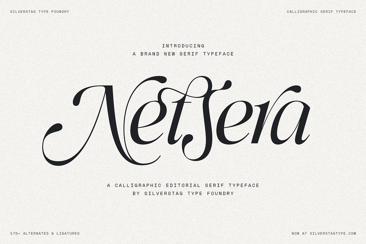 Netsera Calligraphic Serif Typeface, a Serif Font by SilverStag Type Foundry (Photo 1 of 30)