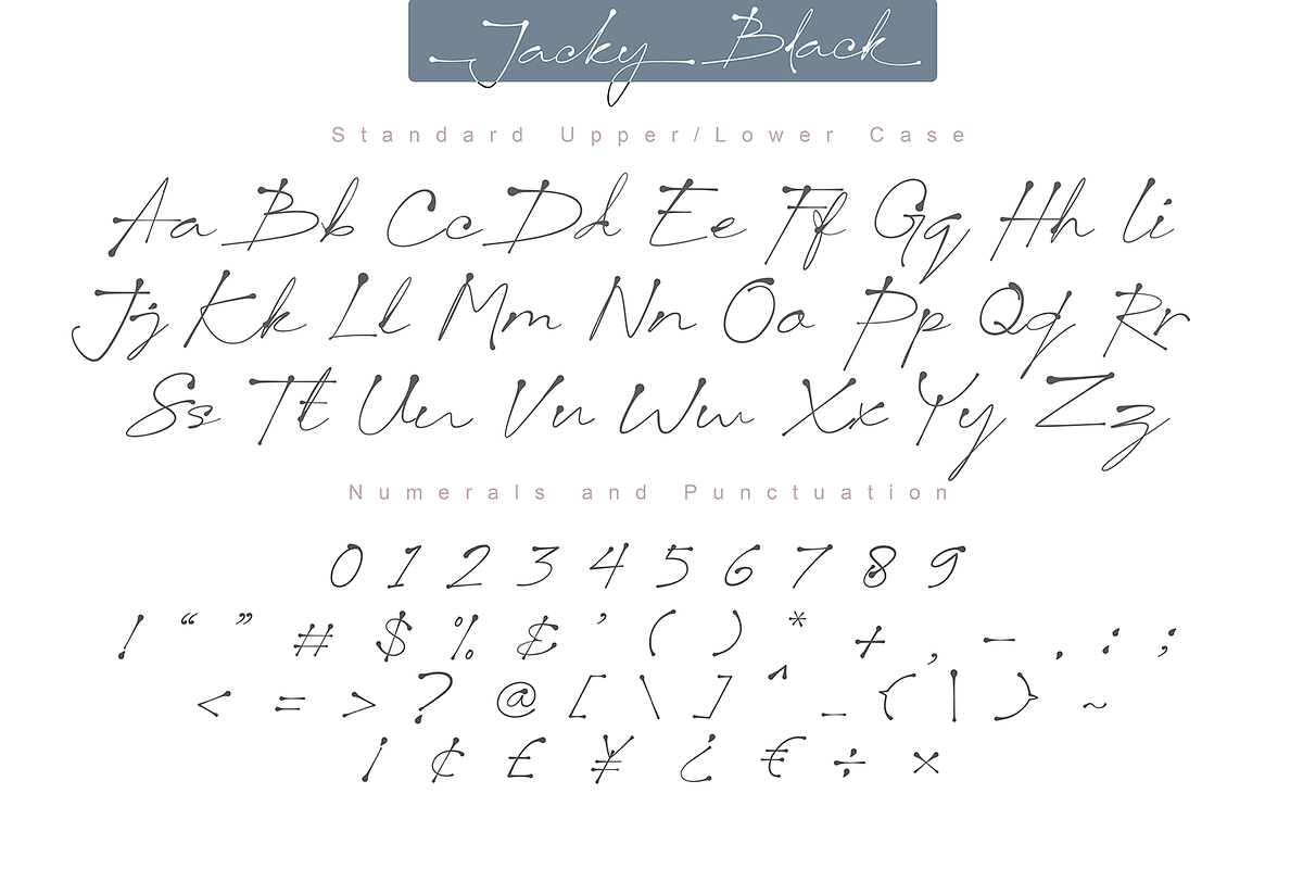 Jacky Black | Handwritten ink style, a Script Font by DiosiArt (Photo 8 of 10)