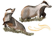 Badger Clipart PNG - Magic Forest, an Animal Illustration by Lenninator Digital (Thumbnail 4 of 8)