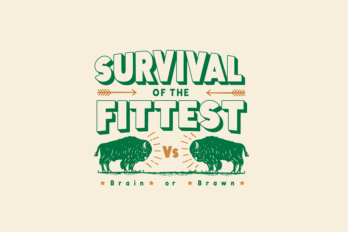 Evolved Font Family preview 4