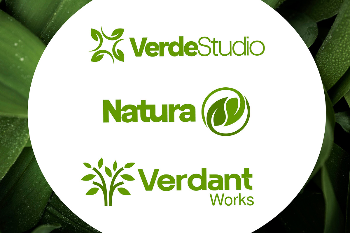 Leaf Logo Template Bundle, an Illustration by Tekuni (Photo 4 of 10)