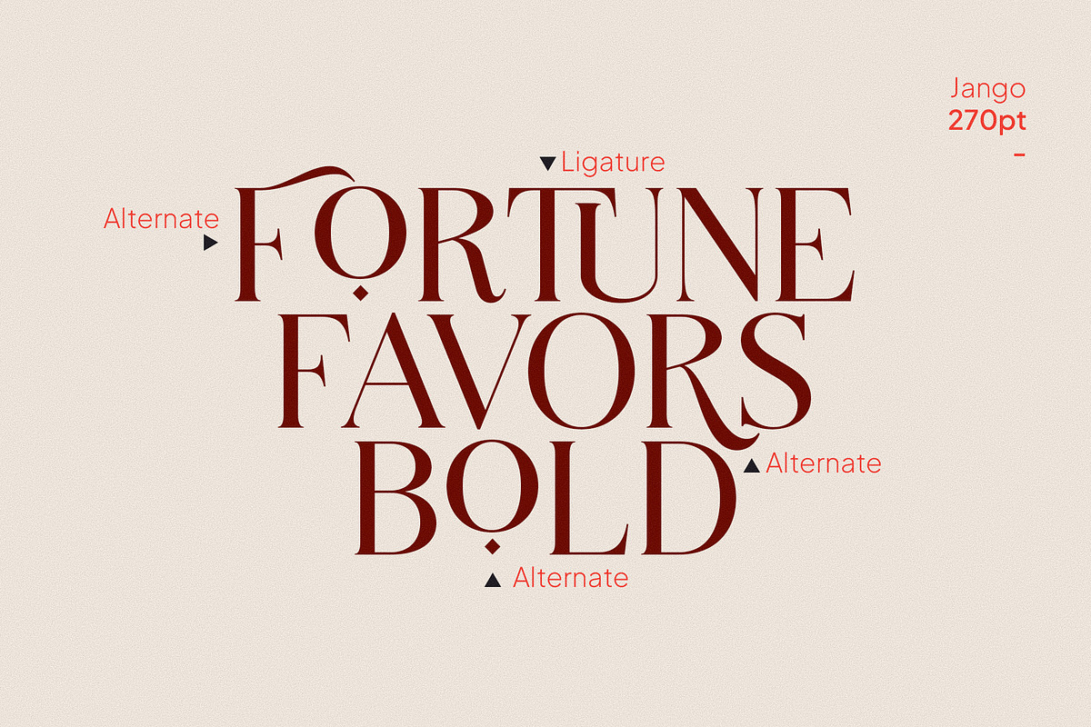 Jango Modern Serif Font, a Serif Font by Vampstudio (Photo 5 of 12)