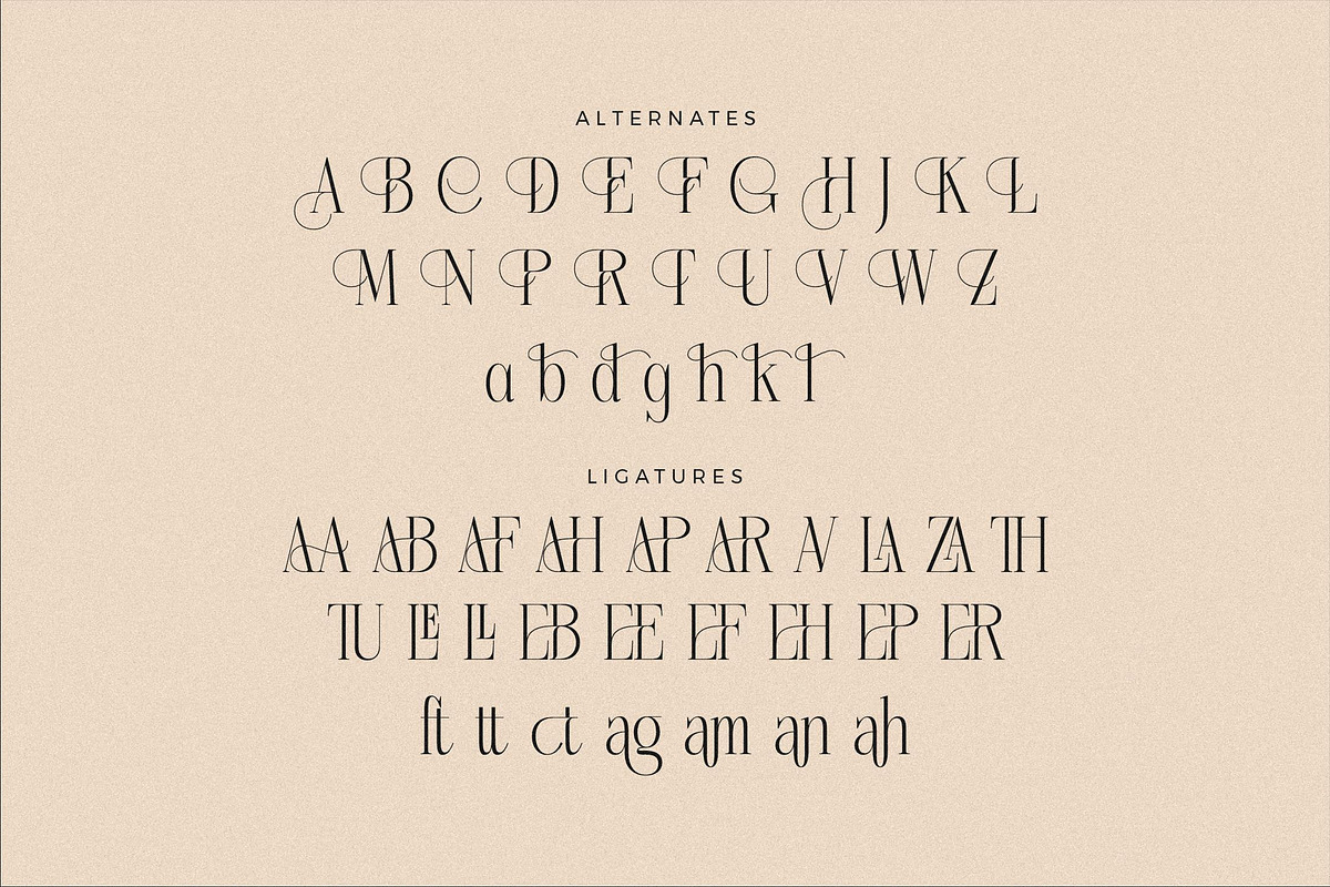 Nebiard Classic Serif Font, a Serif Font by Storytype Studio (Photo 13 of 15)