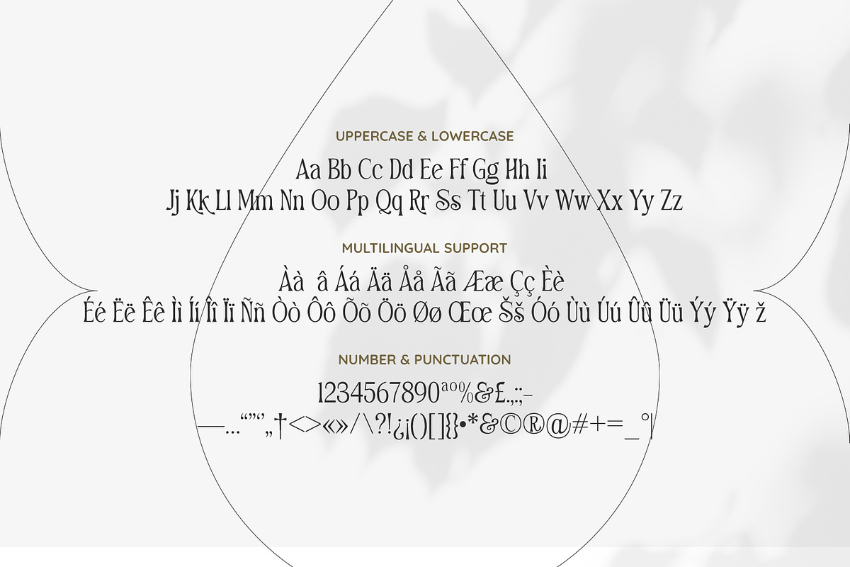 Pirhitipr - Minimalist Serif, a Serif Font by Imoodev (Photo 5 of 5)