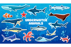 Cartoon underwater animal and fish, an Illustration by Vector Tradition
