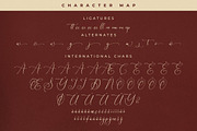 Serandipity Boutique Font Duo, a Serif Font by Storytype Studio (Thumbnail 14 of 15)