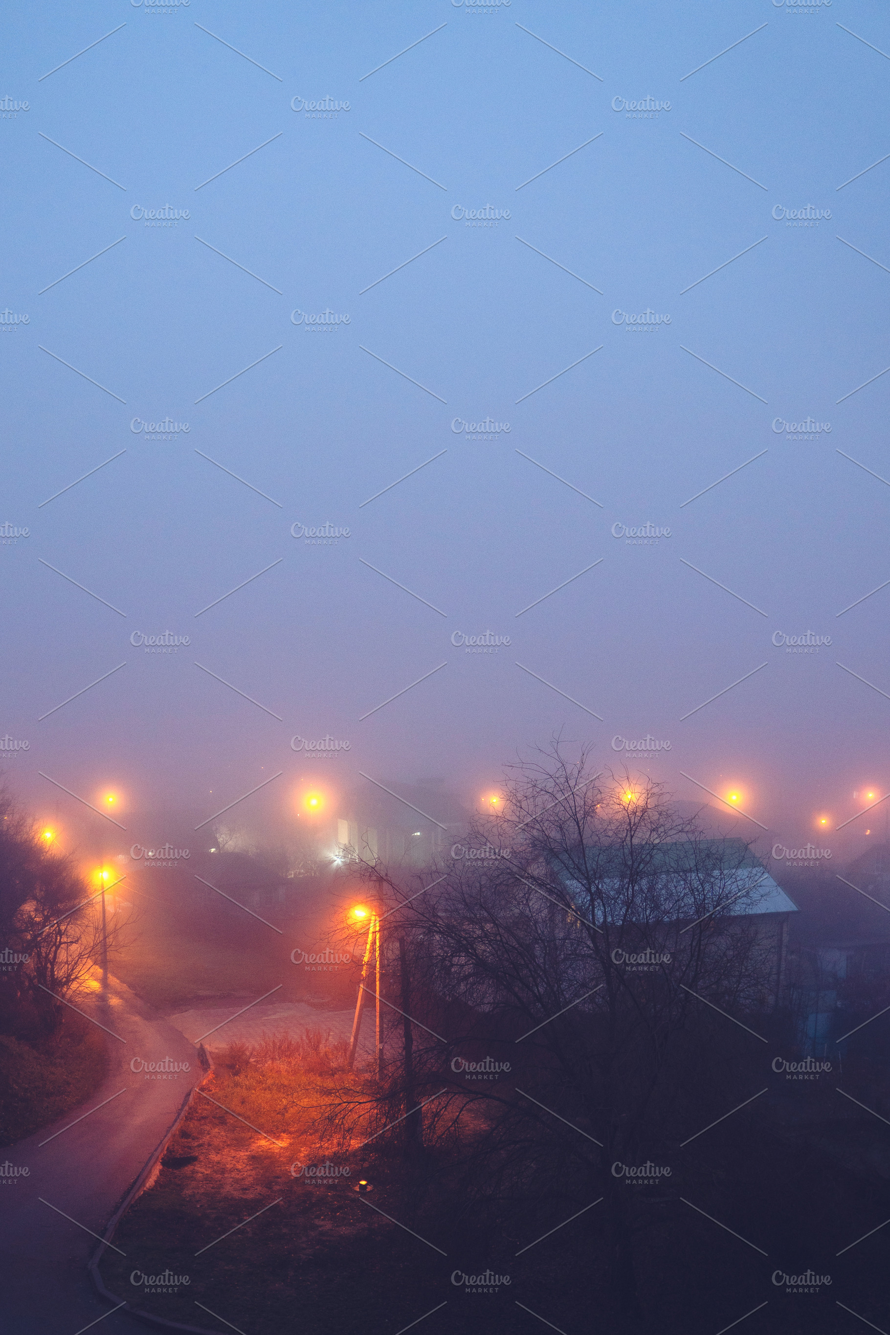Foggy suburban morning with street l, a Nature Photo by Elena Vagengeim