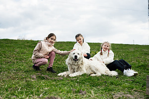 Three girls petting a large white dog and smiling while sitting on a grassy hil, a Person Photo by AS photostudio