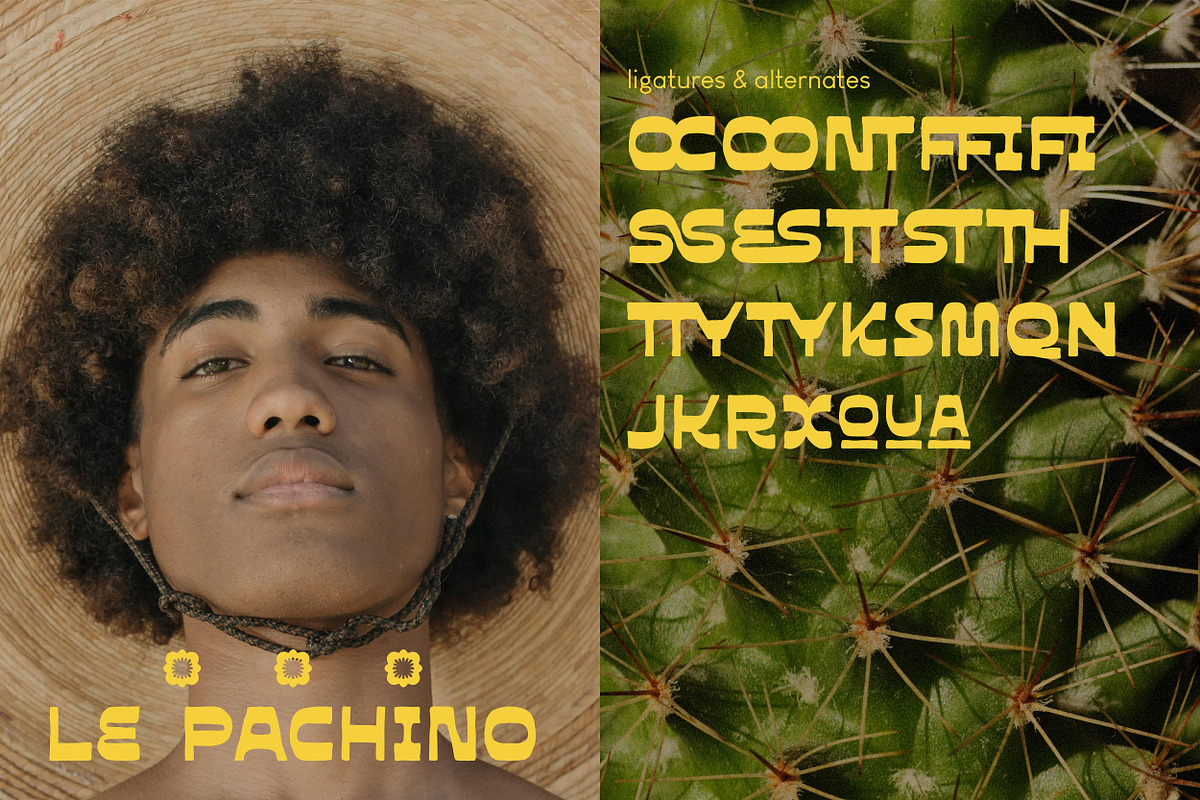 Mezicola Display Font, a Slab Serif Font by Hishand Studio (Photo 2 of 10)