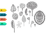 Set of vintage floral silhouettes, a Pattern Graphic by julia_musdotter (Thumbnail 4 of 11)