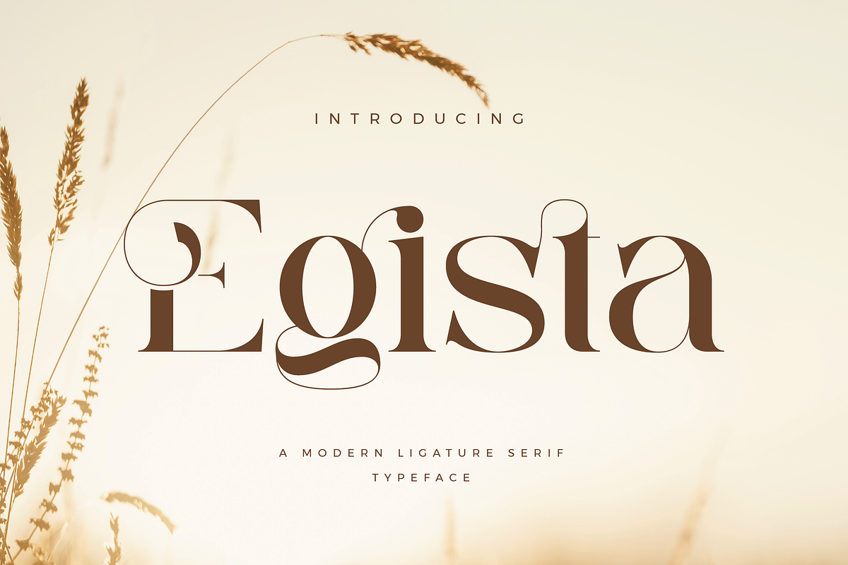 Egista - Modern Serif Font, a Serif Font by Aqeel_Art (Photo 1 of 12)