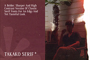 Takako serif, a Serif Font by Gianluca_Bergo (Thumbnail 10 of 13)