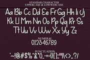 Natural Christmas, a Sans Serif Font by FreshTypeINK (Thumbnail 7 of 8)