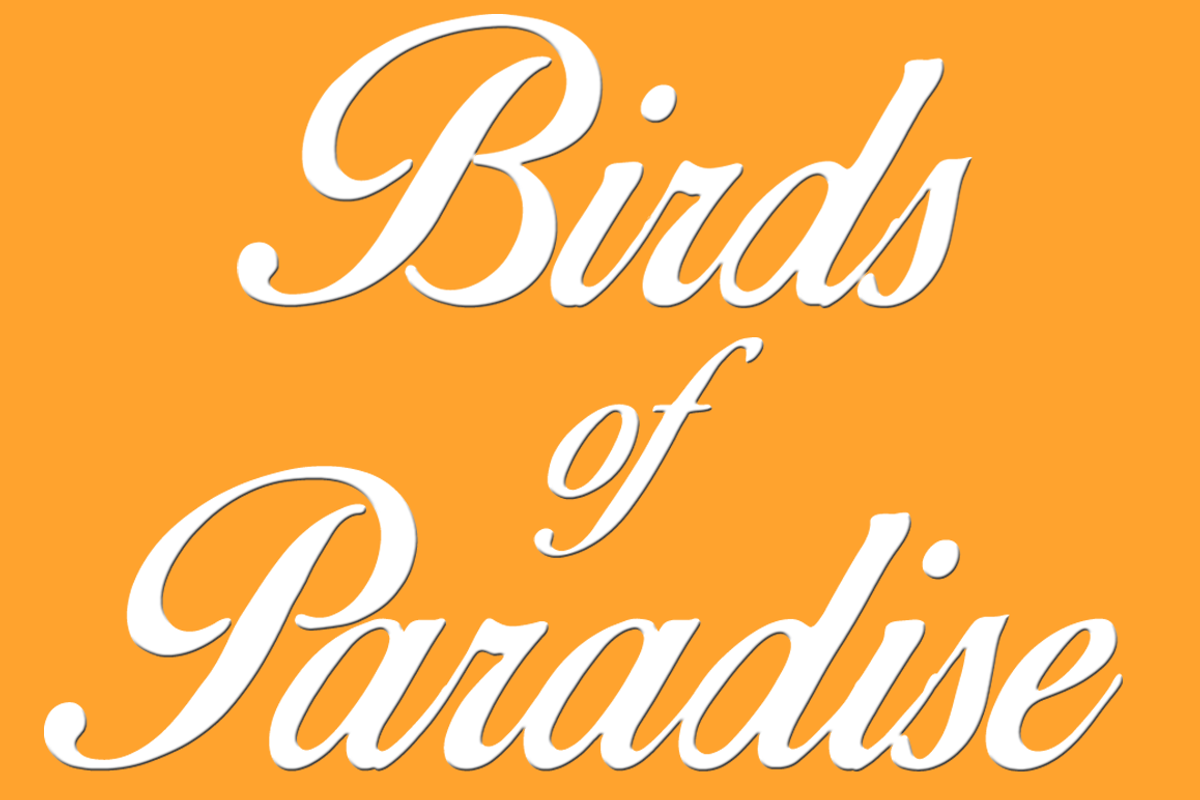 Birds of Paradise ©