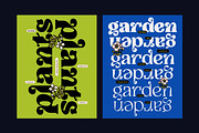 Selukar - Display Variable Font, a Serif Font by Artflorara (Thumbnail 7 of 16)