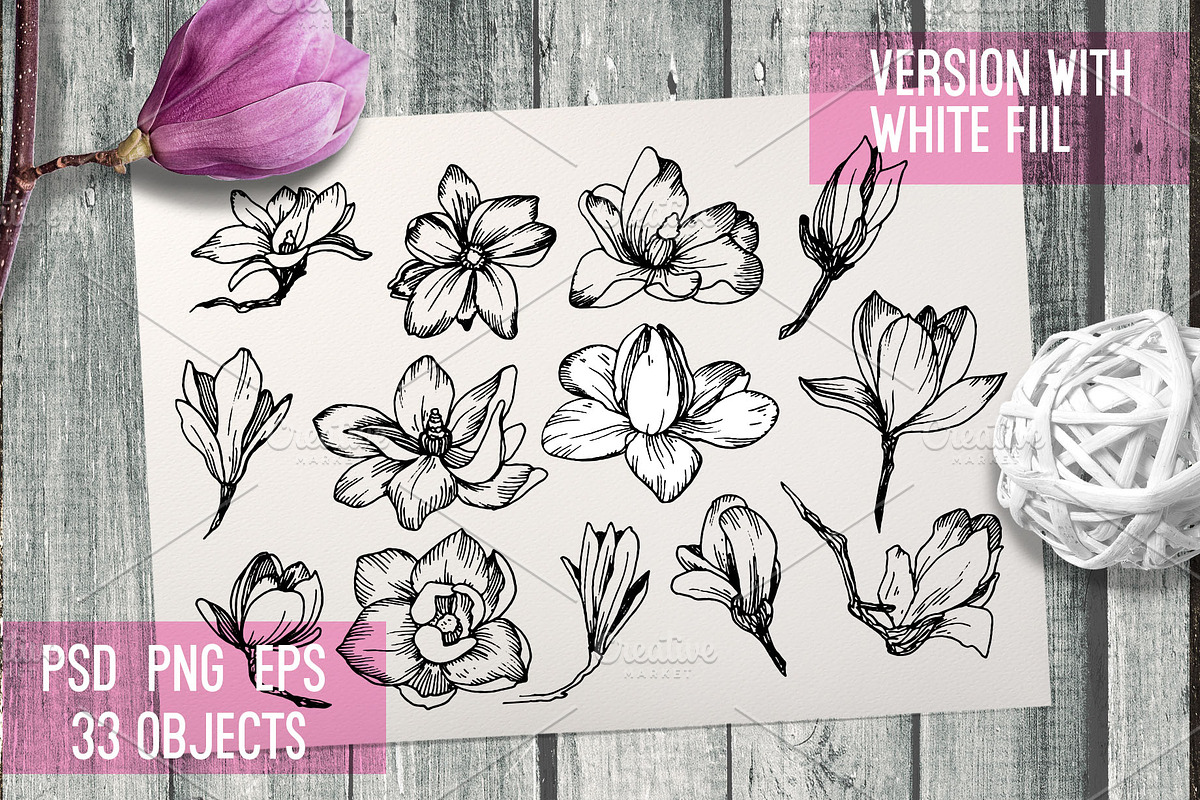 Magnolia in engraving style. Part 2, a Decorative Illustration by Alena Kaz (Photo 2 of 5)