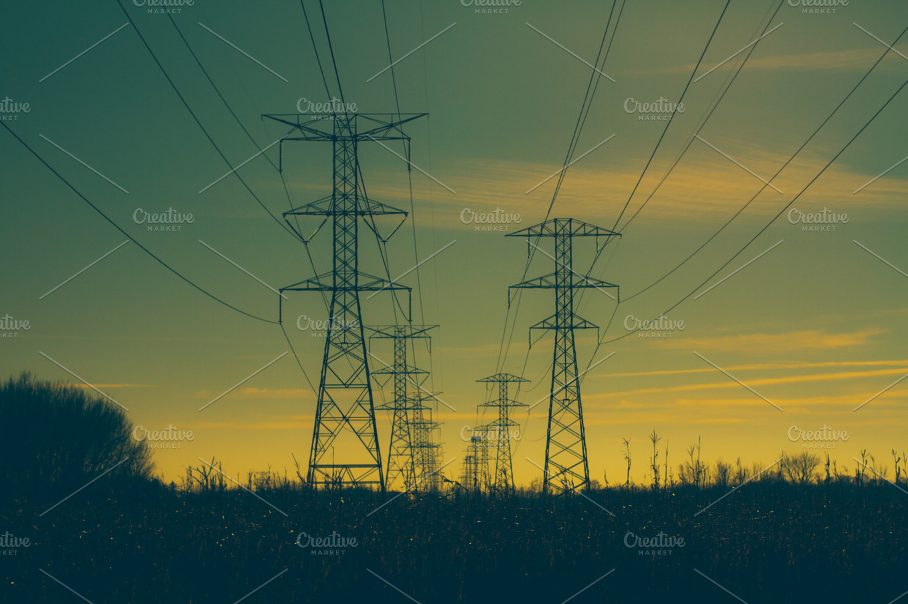 Power lines in a field stock photo containing field and snowy