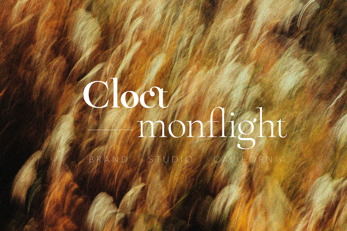 ZT Chablis - Classic serif, a Serif Font by zelow type (Photo 5 of 15)