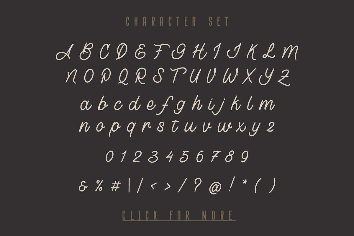 Lostown Monoline Script, a Script Font by Rochart (Photo 3 of 13)