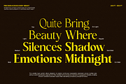 GC Blanca – Serif Elegant Character, a Serif Font by Glyphonic (Thumbnail 12 of 14)