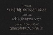Silkspun Condensed Serif Font, a Serif Font by The October Creative (Thumbnail 2 of 8)
