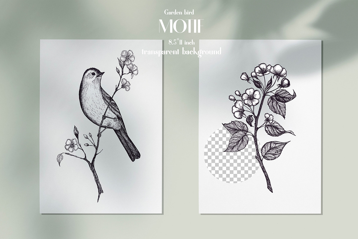 Garden bird. Pattern and motifs., a Pattern Graphic by AnaGuziiArt (Photo 6 of 15)