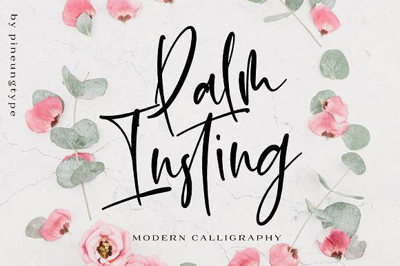 Palm Insting Black Friday