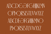 ED Checa - Elegant Serif, a Serif Font by Emyself Design (Thumbnail 5 of 9)