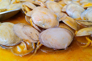 Clams in yellow sauce close-up, a Food & Drink Photo by DanFLCreativo