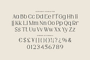 Hiden Certon - Aesthetic Serif Font, a Serif Font by Fype Co. (Thumbnail 5 of 5)