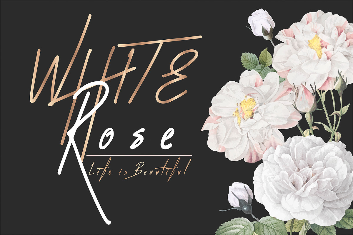 Nissibi Regular Signature Font preview 3