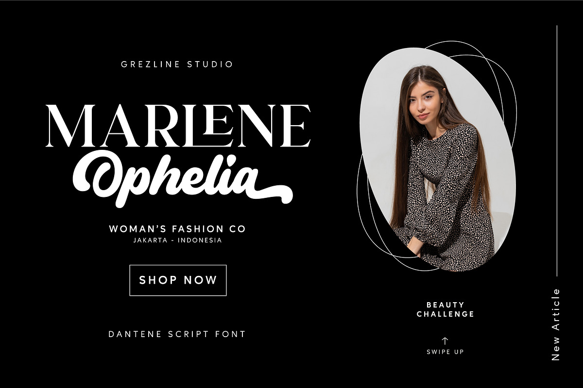 Dantene - Modern Calligraphy Font, a Font by Grezline Studio (Photo 7 of 13)