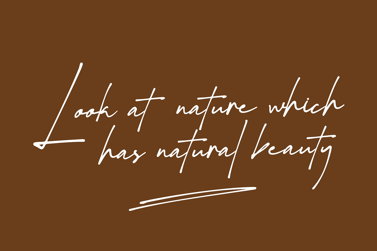 Sunset Beauty - Stylish Script Font, a Script Font by RHD Creative Studio (Photo 8 of 12)