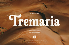 ED Tremaria - Retro Serif Font