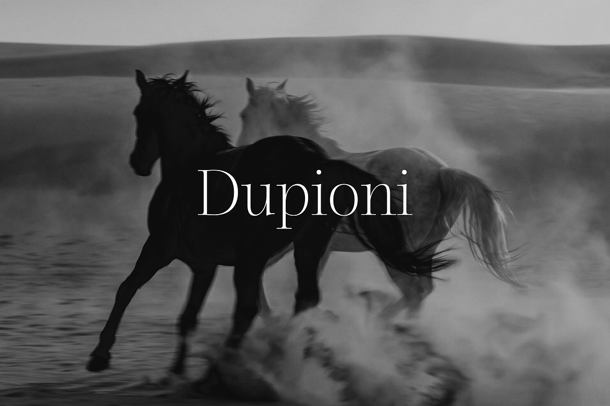 Dupioni Thin - Ligature Serif, a Serif Font by Silktype (Photo 20 of 20)
