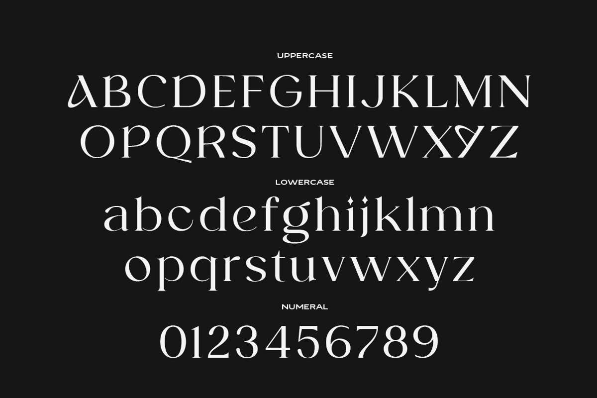 Selvia Genatu Fonts, a Serif Font by Yukita Creative (Photo 8 of 12)